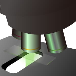 蛍光顕微鏡用照明のライトガイド