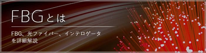 FBGとは