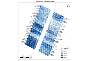 PLSRモデルに基づくCHLの空間予測
