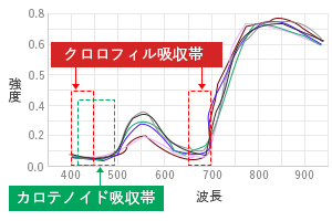 6種類の実験用葉サンプルの反射スペクトルの平均値（イメージ図）