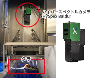 ハイパースペクトルカメラによるタラの切り身の評価