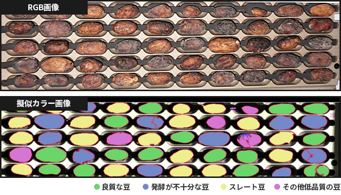 カカオ豆の分類（上：RGB画像、下：ハイパースペクトル画像）