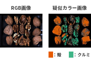 殻とクルミを判別