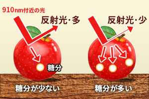 塩分量の多・少と反射光の量