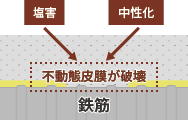 塩害・中性化による不動態皮膜の破壊