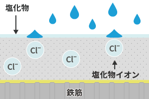 コンクリート中に塩化物イオンが蓄積される