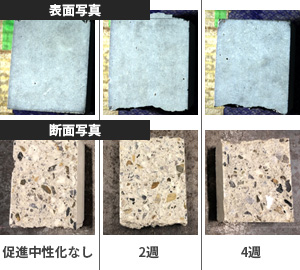 促進中性化を施したコンクリートの表面写真（上）と断面写真（下）