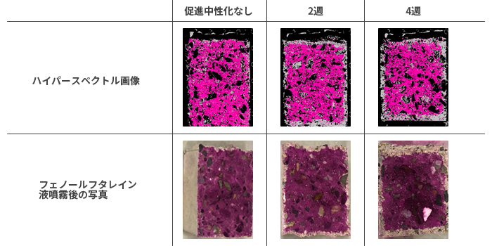 コンクリート断面のハイパースペクトル画像とフェノールフタレイン液噴霧後の写真