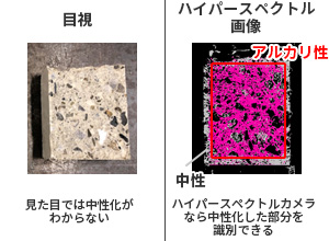 ハイパースペクトルカメラでの中性化の識別