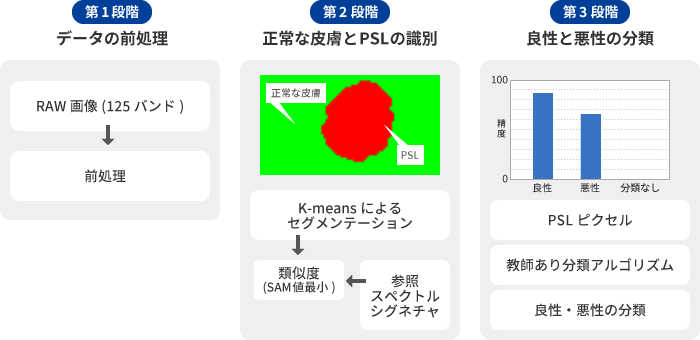 ハイパースペクトル皮膚科学フレームワーク イメージ図