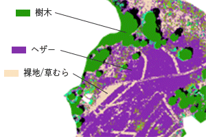 ピクセルごとの波長データを見て判別する