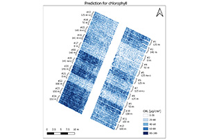 PLSRモデルに基づくクロロフィル量の空間予測