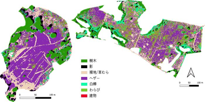 ヒースランドをハイパースペクトルカメラで撮影して色分けした画像