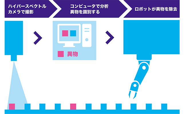 アーモンド工場における異物検査の仕組み