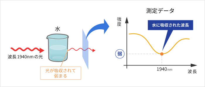 水の光の吸収と測定データイメージ