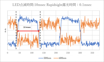 Rapidsight_測定結果1