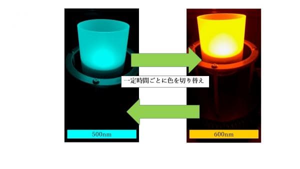 Rapidsight_評価環境_光源