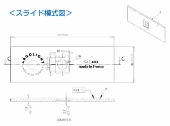 スライド模式図