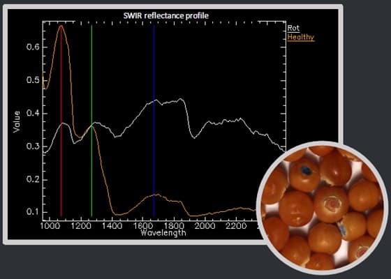 ブルーベリーの品質検査 SWIR　主成分分析(PCA)