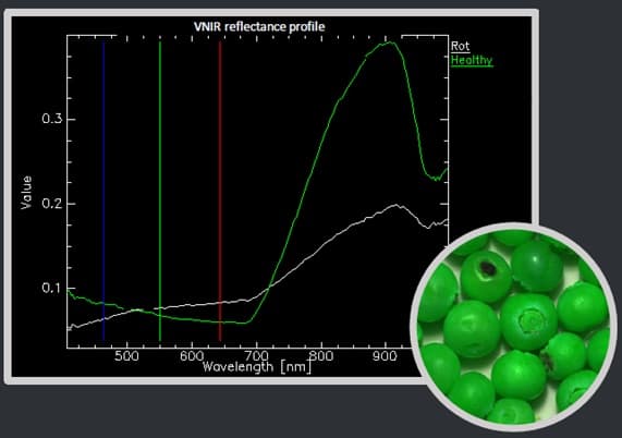 ブルーベリーの品質検査 VNIR 主成分分析(PCA)