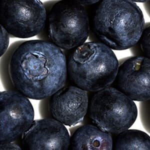 食品分野 | 果実の品質検査「ブルーベリーの分類・異物除去」