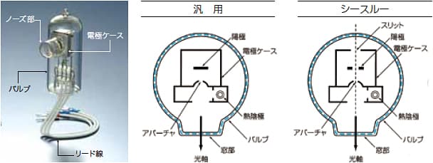 電極構造