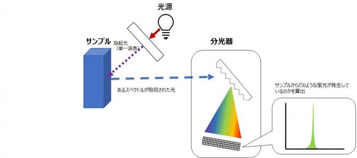 蛍光分光法