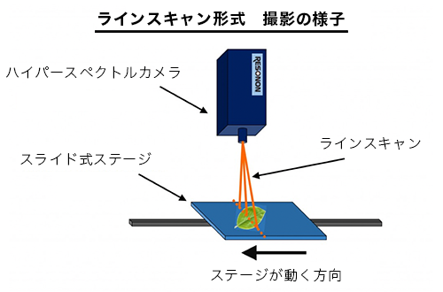 ハイパースペクトルカメラでの撮影の様子（ラインスキャン形式）