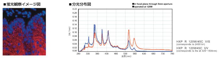 蛍光観察イメージ図と分光分布図