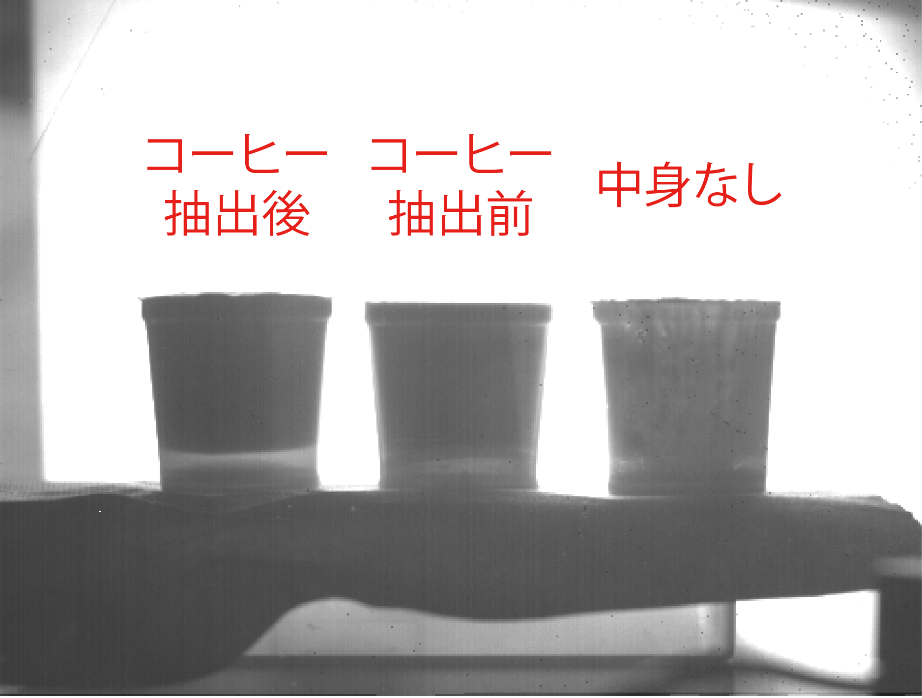  コーヒーカップ撮影Ray1画像