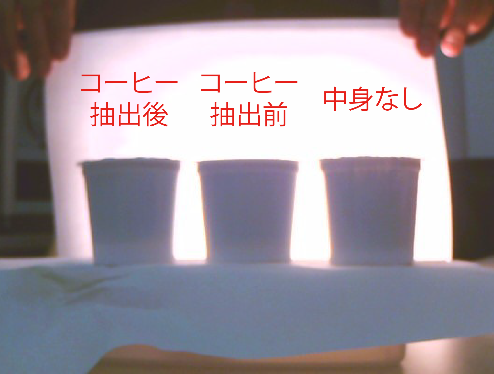 コーヒーカップ撮影Optikron画像