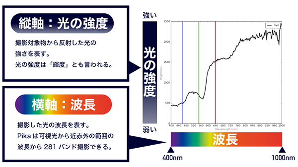 Pikaで取得されるデータ