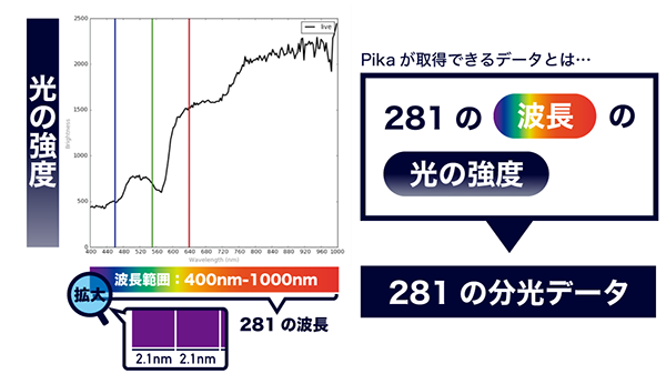 Pikaでできるデータ