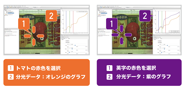 トマトの赤と英字の赤の分析