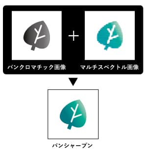 パンシャープン簡易説明図