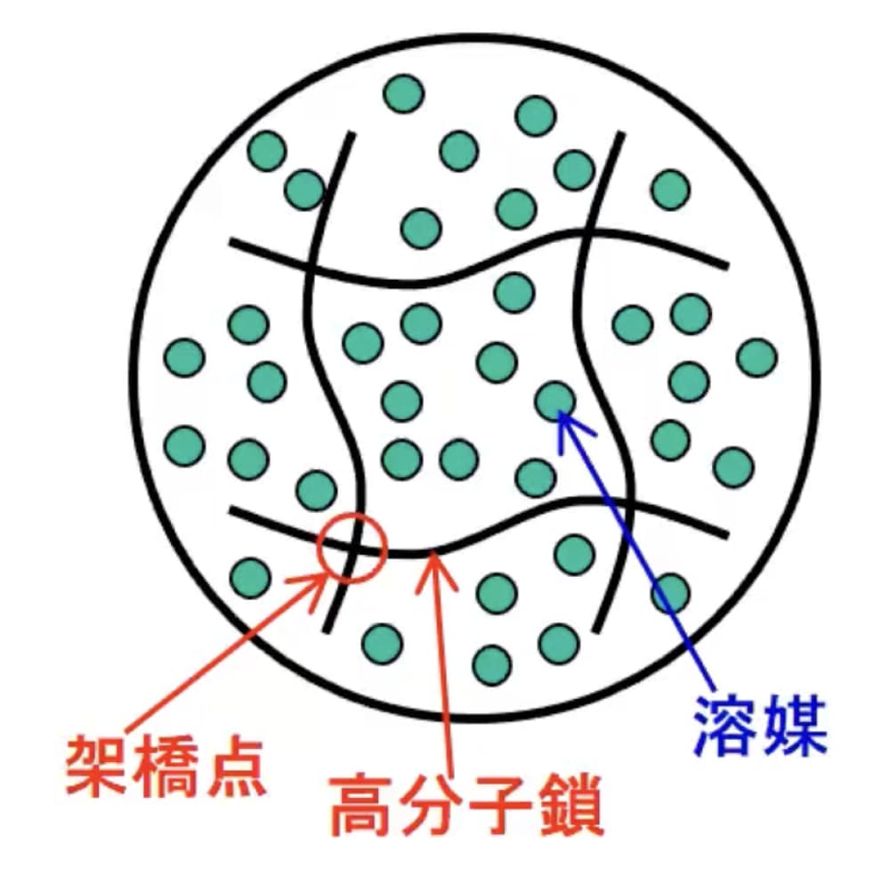 ゲルの構造