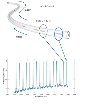 光ファイバーセンサーの構造