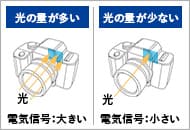 光の量と電気信号