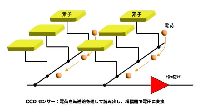 CCDセンサー：電荷を転送路を通して読み出し、増幅器で電圧に変換