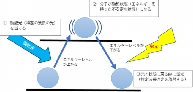 蛍光とは