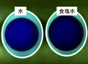 水と食塩水の識別（RGB画像）