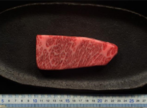 牛肉の赤身と脂肪（RGB画像）