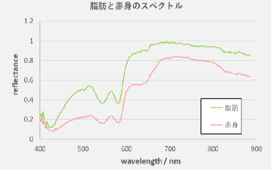 牛肉の赤身と脂肪のスペクトル画像