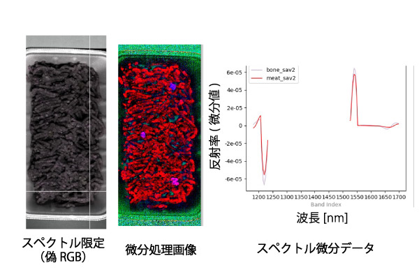 ミンチ肉と骨の可視スペクトル