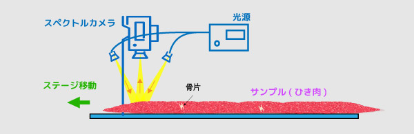 ブドウの透過スペクトル測定