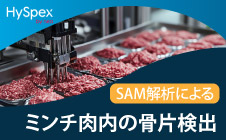 スペクトル解析デモ事例 ミンチ肉への骨片の混入