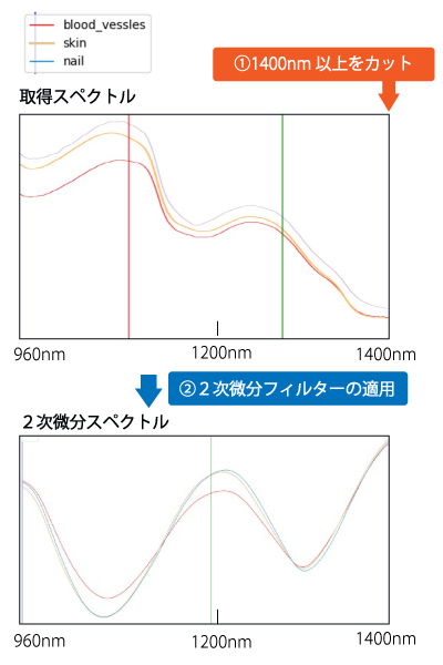 血管のスペクトルの2次微分