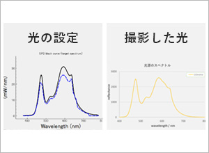 波形が一致