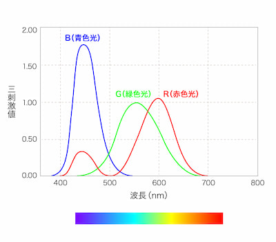 人の目が感じる光の波長