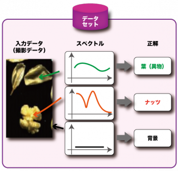 分類イメージ